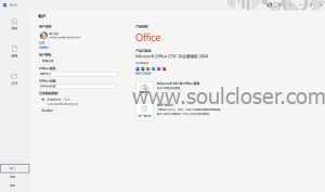 Microsoft Office LTSC 专业增强版2024