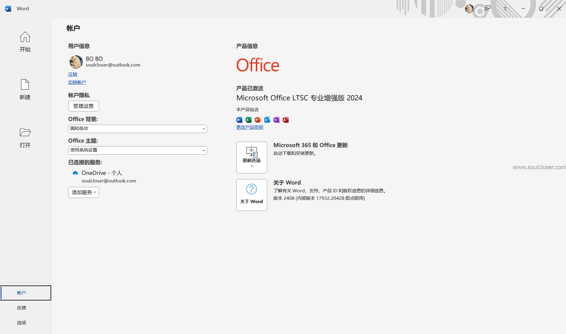 Microsoft Office LTSC 专业增强版2024