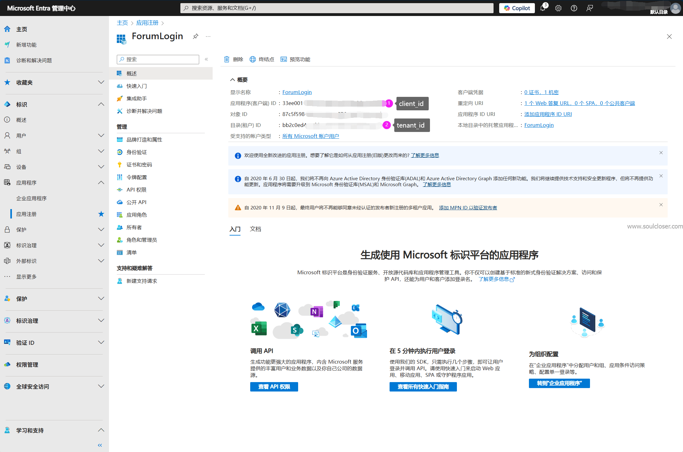 Microsoft Entra 应用程序查看client_id和tenant_id