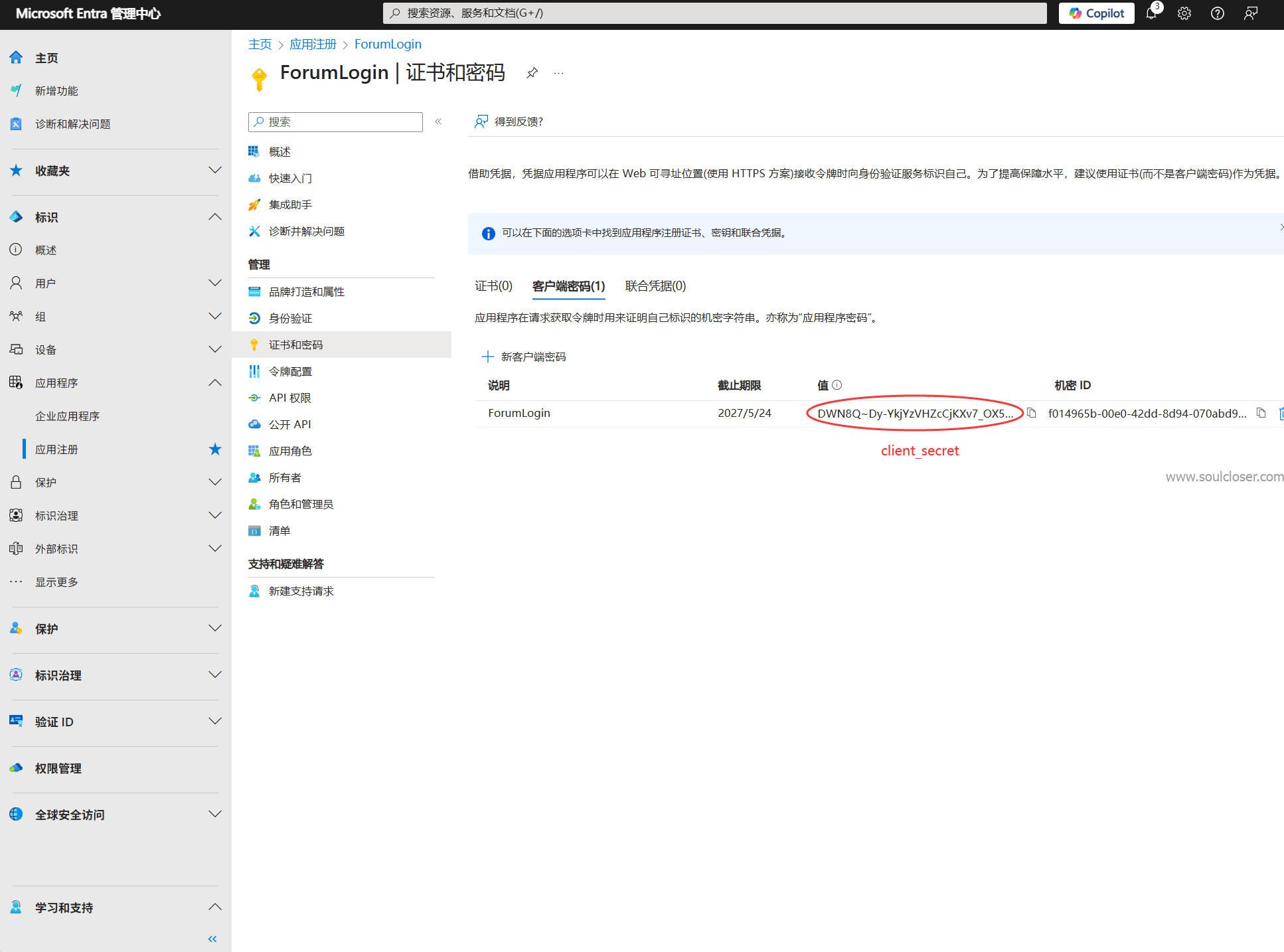 Microsoft Entra 应用程序查看client_secret